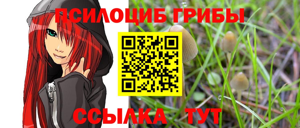 Галлюциногенные грибы мицелий  Вход с VPN  Белово  Псилоцибиновые грибы Psilocybe 